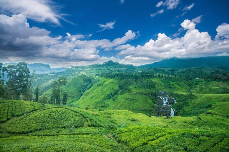 Ella 99A Resort Ngoại thất bức ảnh