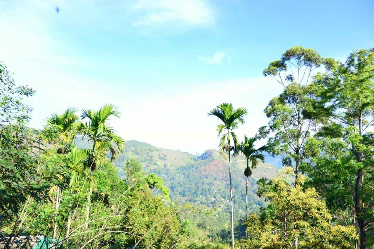 Ella 99A Resort Ngoại thất bức ảnh