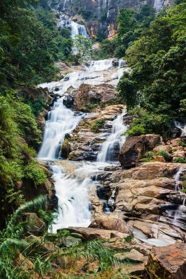 Ella 99A Resort Ngoại thất bức ảnh